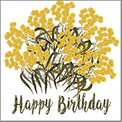 Small Cards (Pack of 10) - Happy Birthday Wattle