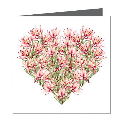Card - Heart Native (Leucadendron)
