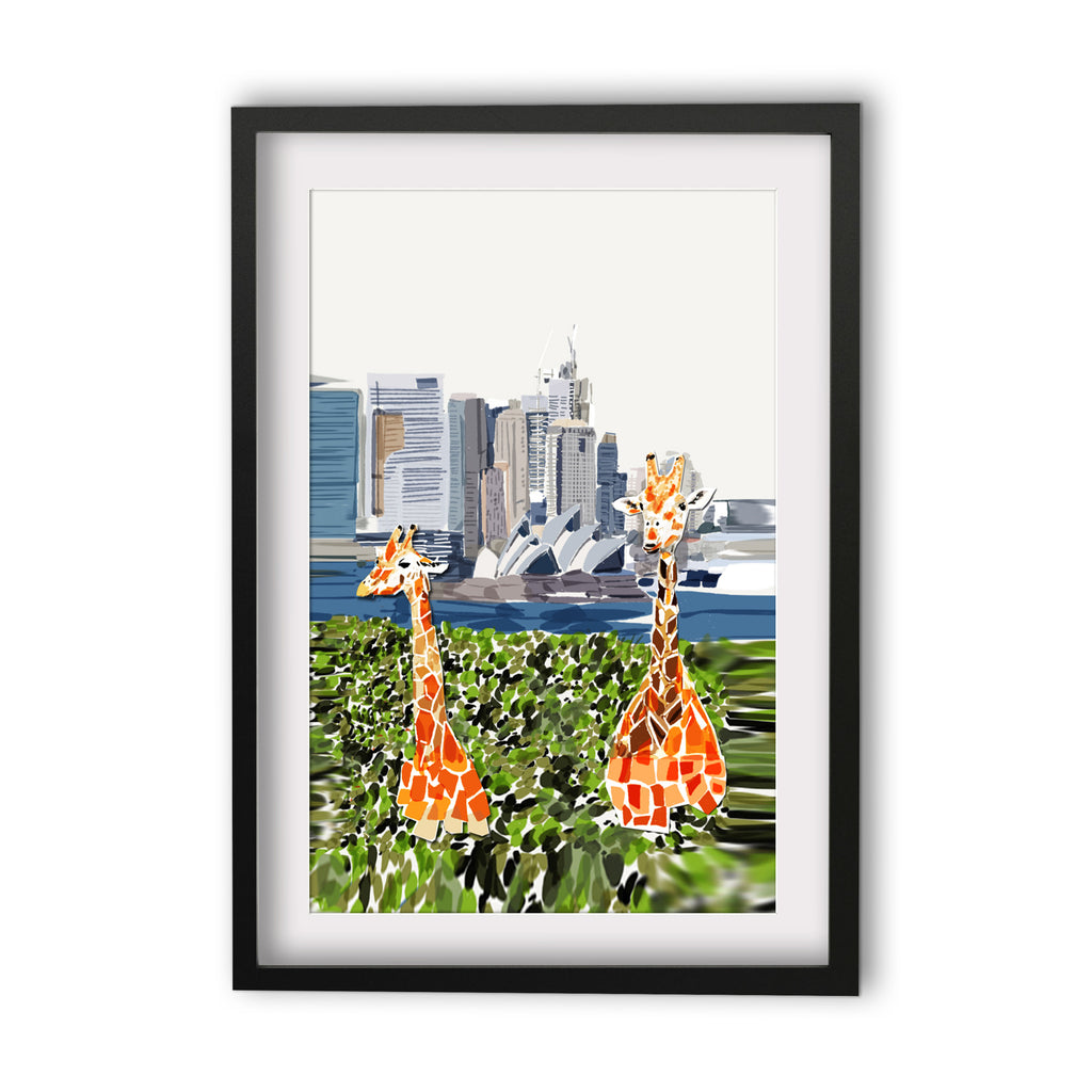 Print (Iconic) - Sydney Taronga Zoo Giraffes