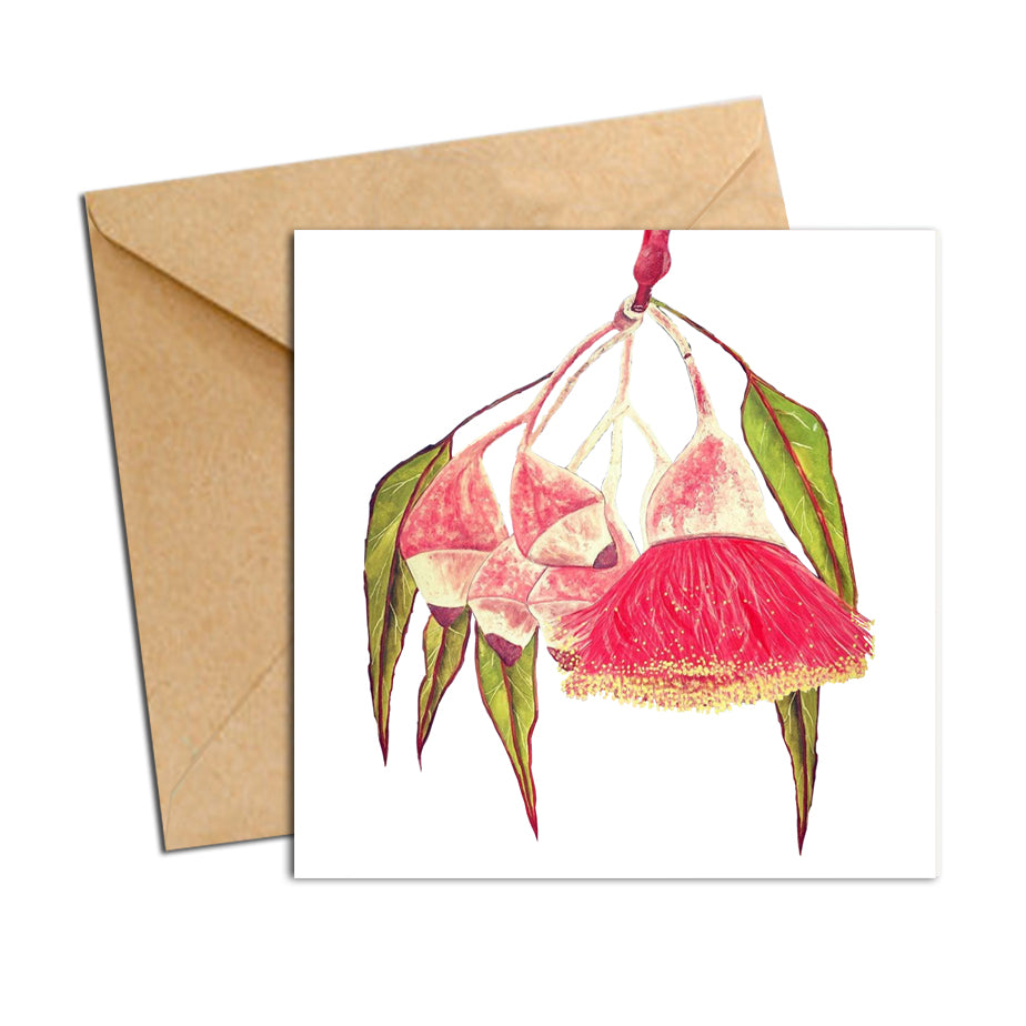 Card - Botanical Natives Gumnut