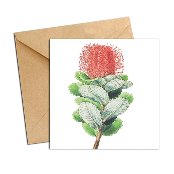 Card - Botanical Natives Banksia