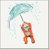 Small Cards (Pack of 10) - Baby Boy Chimp