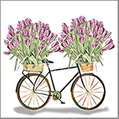 Small Cards (Pack of 10) - Bike with Tulips