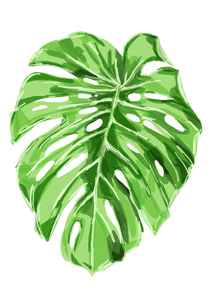 Print Botanic - Monsteria Leaf