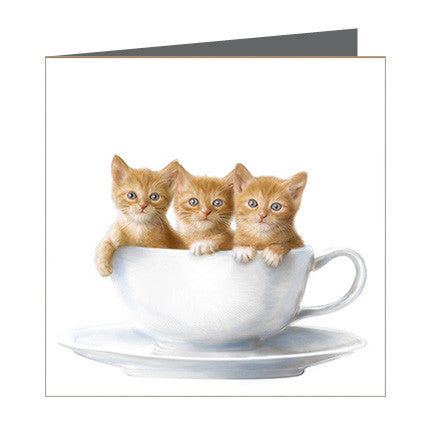 Card - Cats in a tea cup