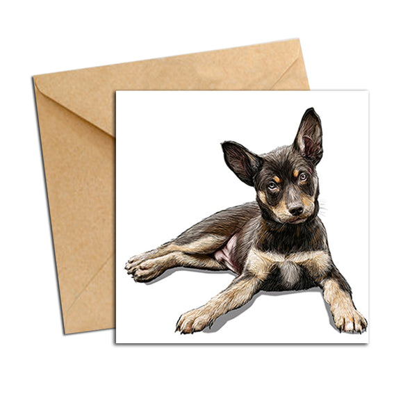 Card - Dog - Australian Kelpie