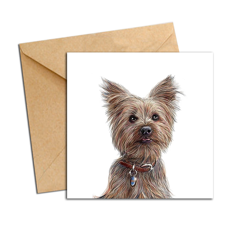 Card - Dog - Yorkshire Terrier