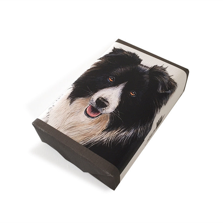 Soap Dog Broder Collie