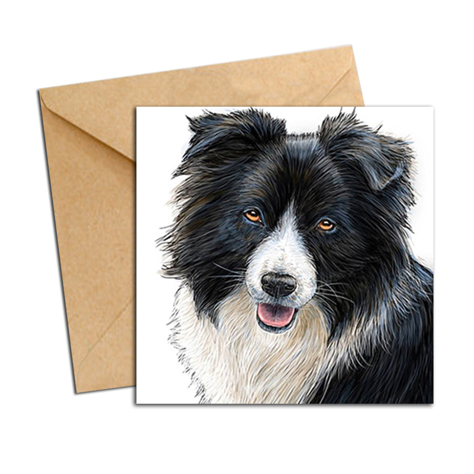 Card - Dog - Border Collie