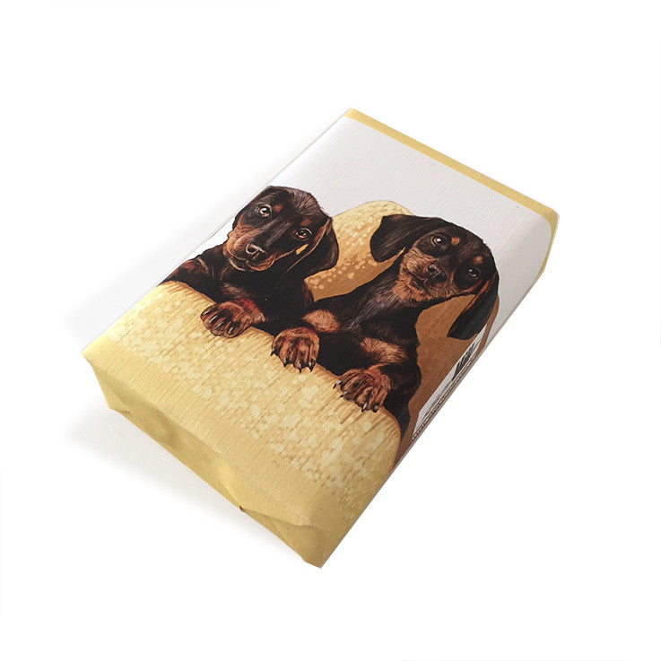 Soap Dog Dachshunds