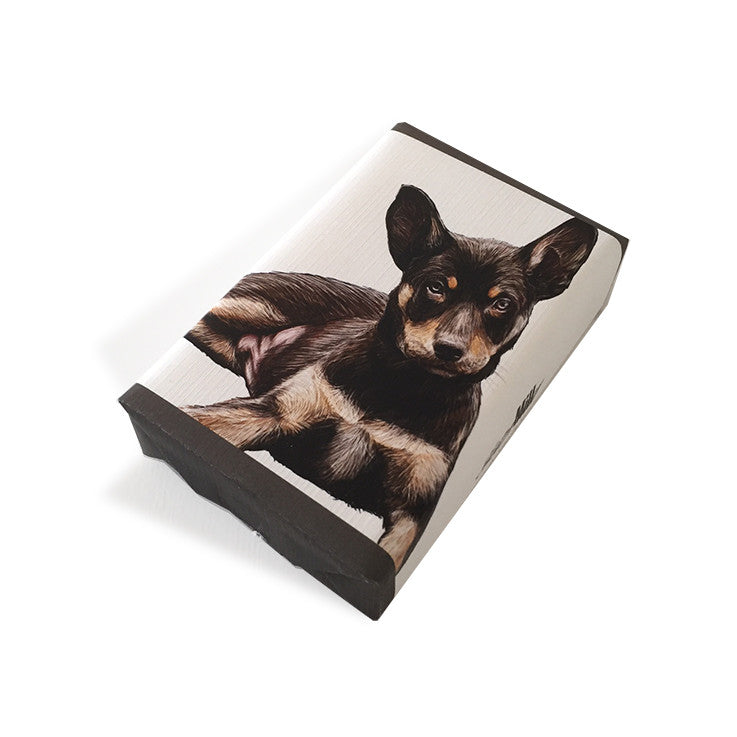 Soap Dog Australian Kelpie