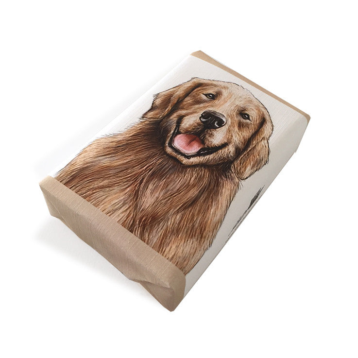 Soap Dog Golden Retriever