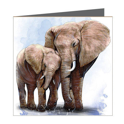 Card - Elephant and Calf