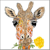 Small Cards (Pack of 10) - Giraffe w Rose